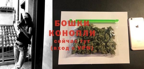 стафф Дмитровск