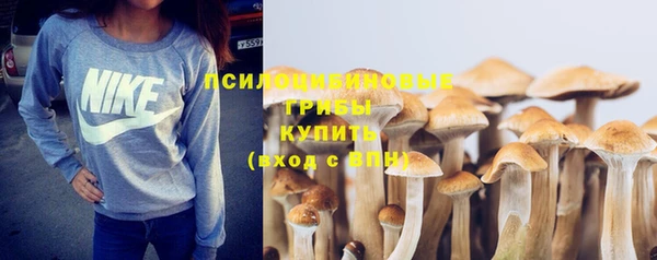 apvp Гусев