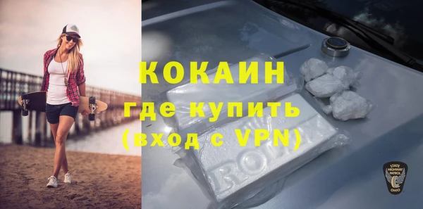 apvp Гусев