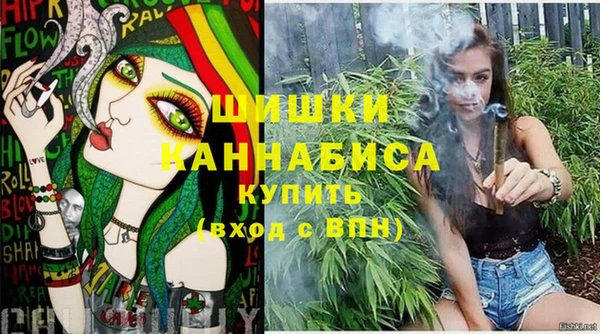 apvp Гусев