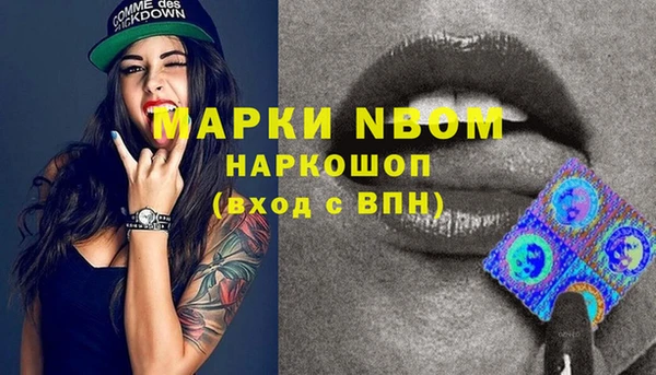 apvp Гусев