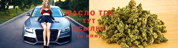 apvp Гусев